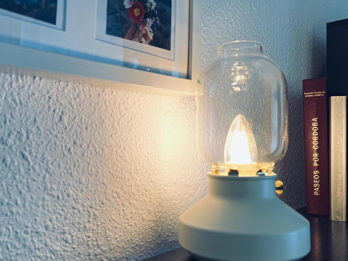 Apartamento Pintor Palomino 코르도바 외부 사진